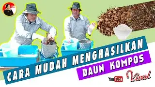 CARA MDAH MENGHASILKAN DAUN KOMPOS