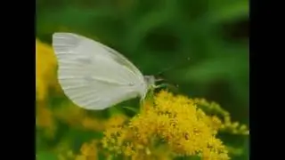 GX85, 4K 포토 테스트