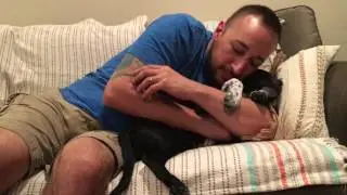 Adorable Puppy Terrorized by Her Own Tail