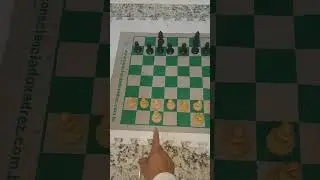 Xadrez - Peões, bispos e torres - movimento e captura - compilado