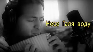 Несе Галя воду (Nese Halya vodu) - Ukrainian folk song - Instruemental Flute