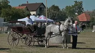 Fijakerijada 2024 RUMA - Goran Djuric