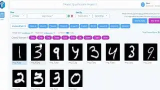 Bulk Image Classification