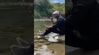 Кара алма