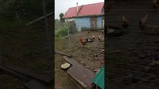 4 августа 2024 г.