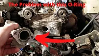 The Problem with this O-Ring B61P-15-106A
