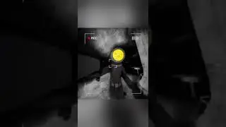 Червячок напал 🪱 #contentwarninggame #coopergaming #memes #trio