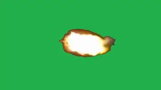 AK 47 M16 19X19 MUSSEL FLASH GREEN SCREEN EFFECT WITH SOUND EFFECTS