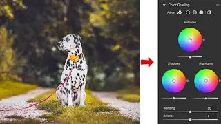 How to color grade your videos on the go with Lightroom Mobile