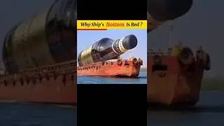 Why Ship's Bottom Is Red ♥️#youtubeshorts #shorts #trending