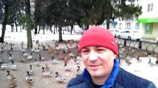 Утиный Рай.....