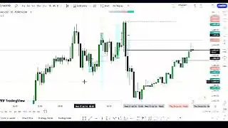 Gold $1000+