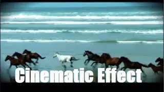 Sony Vegas Pro Tutorial | CINEMATIC FILM EFFECT