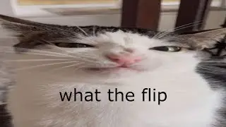 wake up, new m1k upload