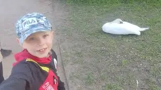 3 мая 2023 г.