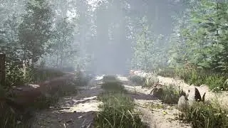 Forest Environment in Unreal Engine 4