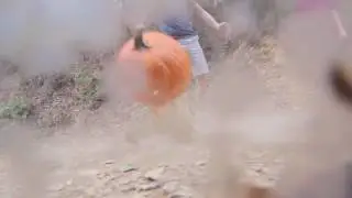 How To Kill A Pumpkin