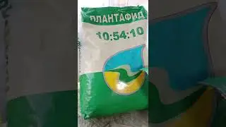 Начало цветения Карака Блэк. 18.04.2024