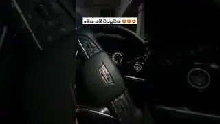 ඔයාලා මොකද කියන්නේ වැලි කතරේ ඉදන් ගේන්නද රිවීව් ටිකක් 😎  කමෙන්ට් එකක් දාන් යන්න