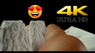 4K Cinematic Macro Flyover of 10 Eggs | Stunning Laowa 24mm Close-Up