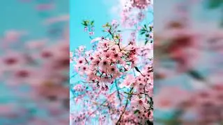 4batz - act ii date @8 (flip by fss slowed  + reverb]