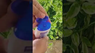 Scalp pro anti dandruff shampoo #scalppro #antidandruffshampoo #haircare