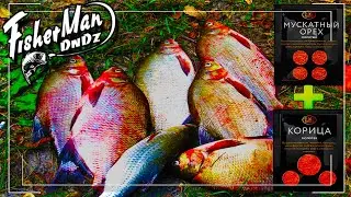 KILLER BAIT FOR FISHING BREAM | HOW TO CATCH BIG BREAM