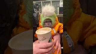 Жора на прогулке 🫶🐒