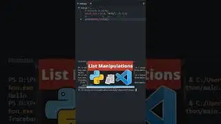 Index out of range error or Exception List in python 