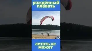 НЕУДАЧНЫЙ ВЗЛЁТ / РОЖДЁННЫЙ ПЛАВАТЬ - ЛЕТАТЬ НЕ МОЖЕТ / #shorts