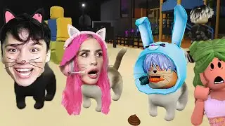 СТАЛИ КОТАМИ HOLY BAAM Женяша и ЧУДО ЧАЙ в ROBLOX! 