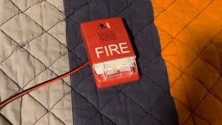 Mini System Test 9: EST Genesis