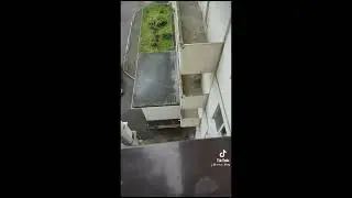 ryt tik-tok | rytp tiktok | Рутп тик-ток | rytp тикток