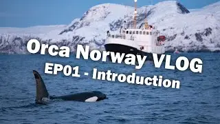 Orca Norway VLOG EP01 - Introduction