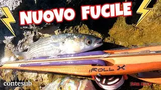🌊 Prime PESCATE con il NUOVO FUCILE! 🔥💣💥 Pesca in Apnea