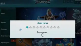 Paladins Настройка Streama