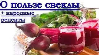 Benefits of beetroot! Contraindications + folk remedies