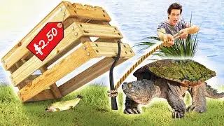 Cheap Vs Expensive SNAPPING TURTLE Trapping!