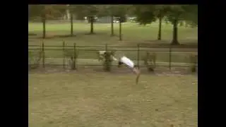 Round-Off Back Handspring Back Tuck!!!