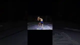 Urban  31 fight night