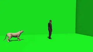 White Tiger Attack Green Screen 