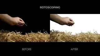 Grass Rotoscoping
