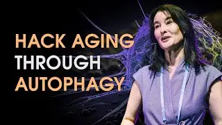 Boost Autophagy to Beat All 9 Aging Hallmarks (how many times)