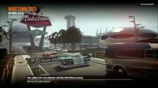 Black Ops2 Mod Trolling 