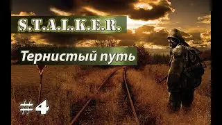 S.T.A.L.K.E.R. Тернистый Путь #4. Документы