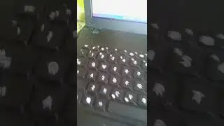Puppy linux  bionicpup 64 run from usb flash memory