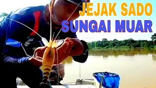 Betul-Betul Gil4 Mancing Udang Waktu Macam ni.,❗❗#mancingudanggalah,#prawns ,#shrimp