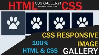 How to make Image Gallery | CSS & HTML