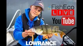 Allt om höstfiske efter abborre med David Lundh!
