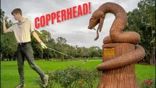 Great score!!!😱 Copperhead CC!!